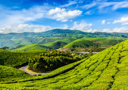 Beautiful Kerala 6 Nights - 7 Days