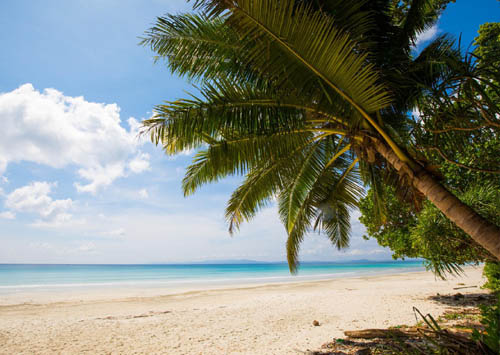 Exotic Andaman Tour 5 Nights - 6 Days