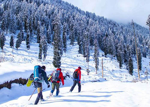 Holiday In Kashmir 6 Nights - 7 Days