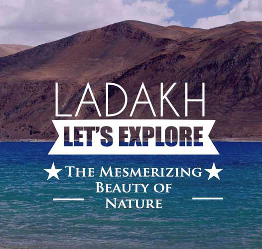 Leh Ladakh Best Offer