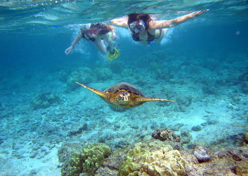 Short Andaman Tour 3 Nights - 4 Days